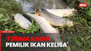 Penduduk lega pemilik kolam halalkan kelisa yang ditangkap