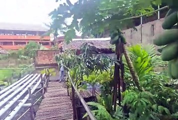 Spora Agroekologi Bertanam Selaras Alam