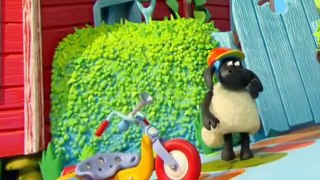 Timmy Time Timmy Time S01 E013 – Timmy on Wheels