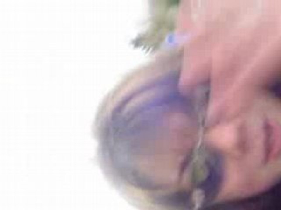 MOV00305