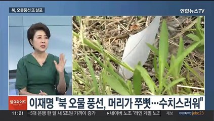 [일요와이드] 북한, 또 오물풍선 살포…"어제부터 600개 보내"
