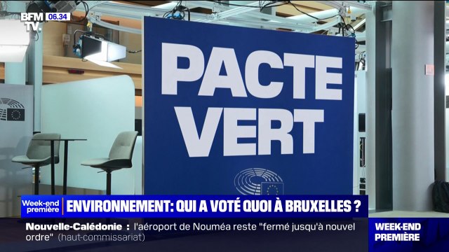 Environnement: qu'ont voté nos députés européens au Parlement?