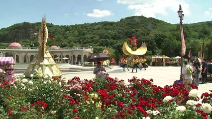 꽃내음 가득한 장미 정원...300만 송이 '활짝' / YTN