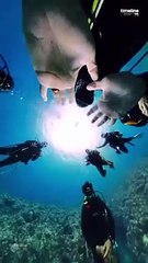 Ocean Deeper #science #facts #shorts #sciencefactsOcean Deeper #science #facts #shorts #sciencefacts