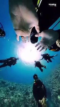 Ocean Deeper #science #facts #shorts #sciencefactsOcean Deeper #science #facts #shorts #sciencefacts