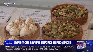 La pistache revient en force en France