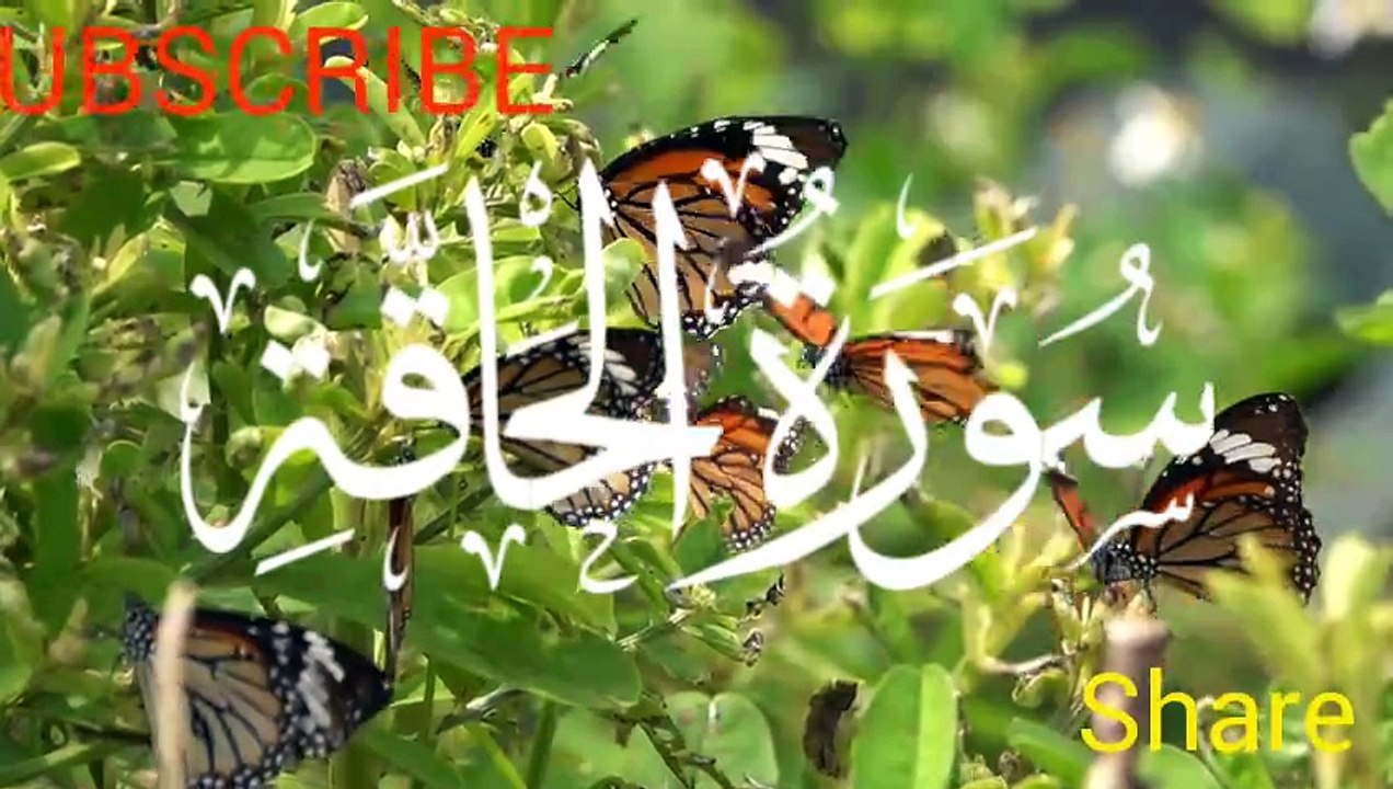 #Islamic Teachings"#Islam#Quran#Surah#taqareer#fly