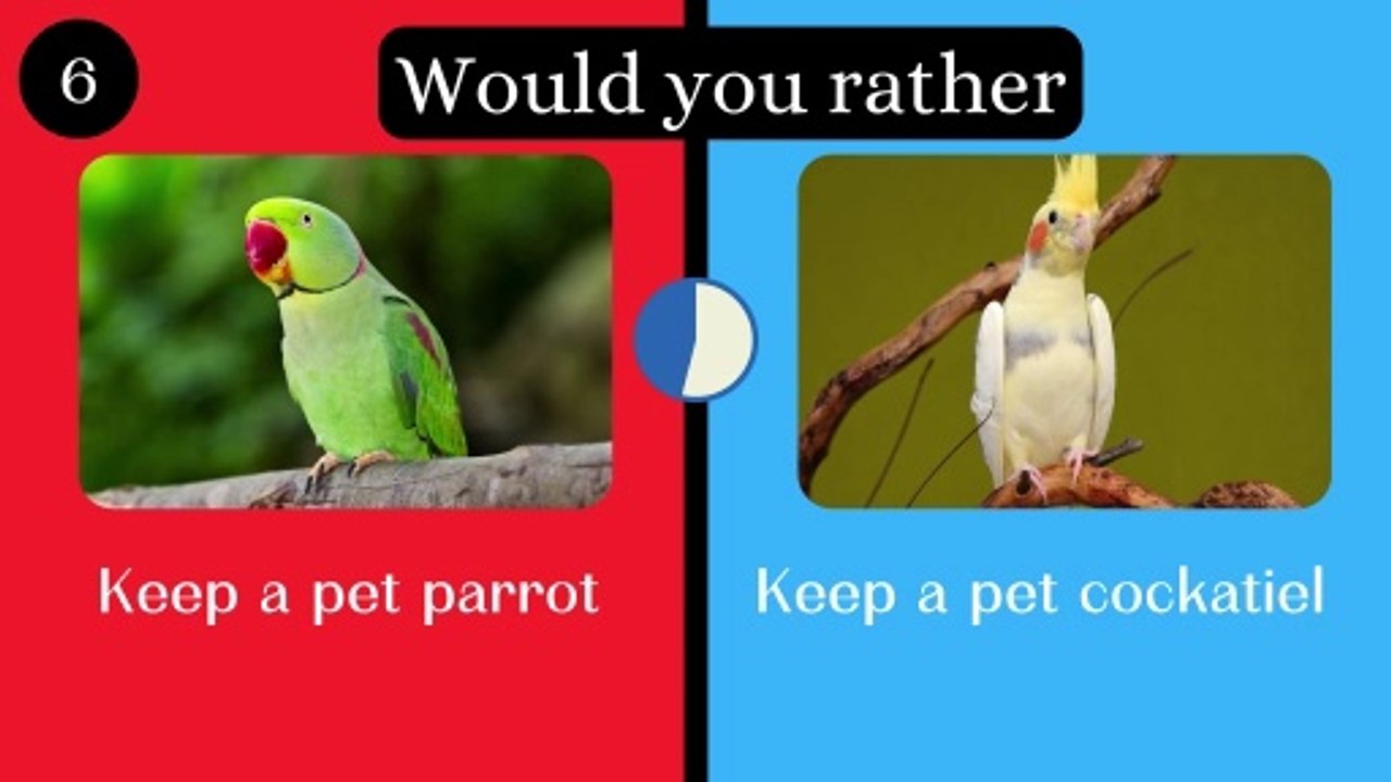 Would you rather. Animal edition.