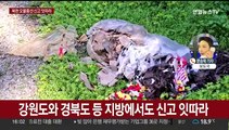 전국 곳곳에서 '오물풍선' 신고…