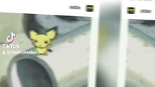 Der Pichu Bros Logo