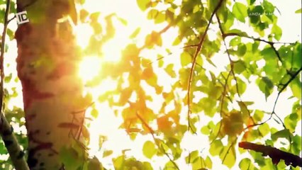 AINDA UM MISTÉRIO - T01E01 - ID