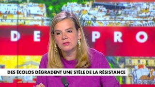 Gabrielle Cluzel : «Je ne comprends pas pourquoi ces écolos bénéficient de cette impunité»