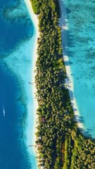LE PLUS BEAU spot de snorkeling d’Indonésie : Panjang Island [@rivad.fasya]