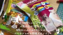 1週間経ちました