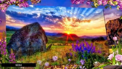 VALDO CILLI TITRE UN JOUR C'EST OUI, UN JOUR C'EST NON