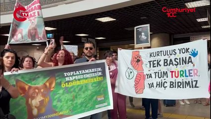 Katliam yasasına karşı sokağa çıktılar