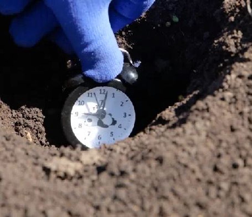 Pest control hacks to get rid of uninvited guests!