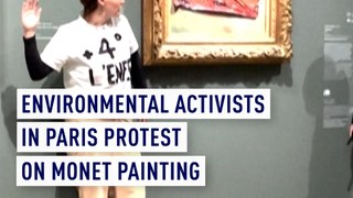 Environmental activists in Paris protest on Monet painting