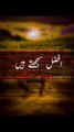 Haqeeqat | Life Changing Lines |Urdu Lines