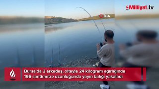 Bursa'da iki arkadaş oltayla 165 santimetrelik balık tuttu