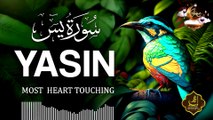 Surah Yasin (Yaseen) سورة يس | Relaxing Soothing Healing Quran Recitation | Quran Tilawat Zikr Allah
