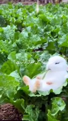 sabse Afzal sabka kaun sa hai