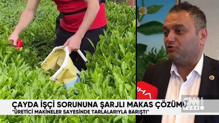 Hafta Sonu Ana Haber 1 Haziran 2024 Cumartesi