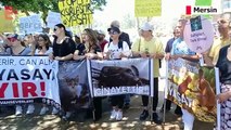 Mersin'de hayvan hakları savunucularından miting: Katliama izin vermeyeceğiz