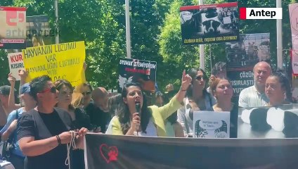 EMEP'li Sevda Karaca Antep'te hayvan hakları mitinginde konuştu