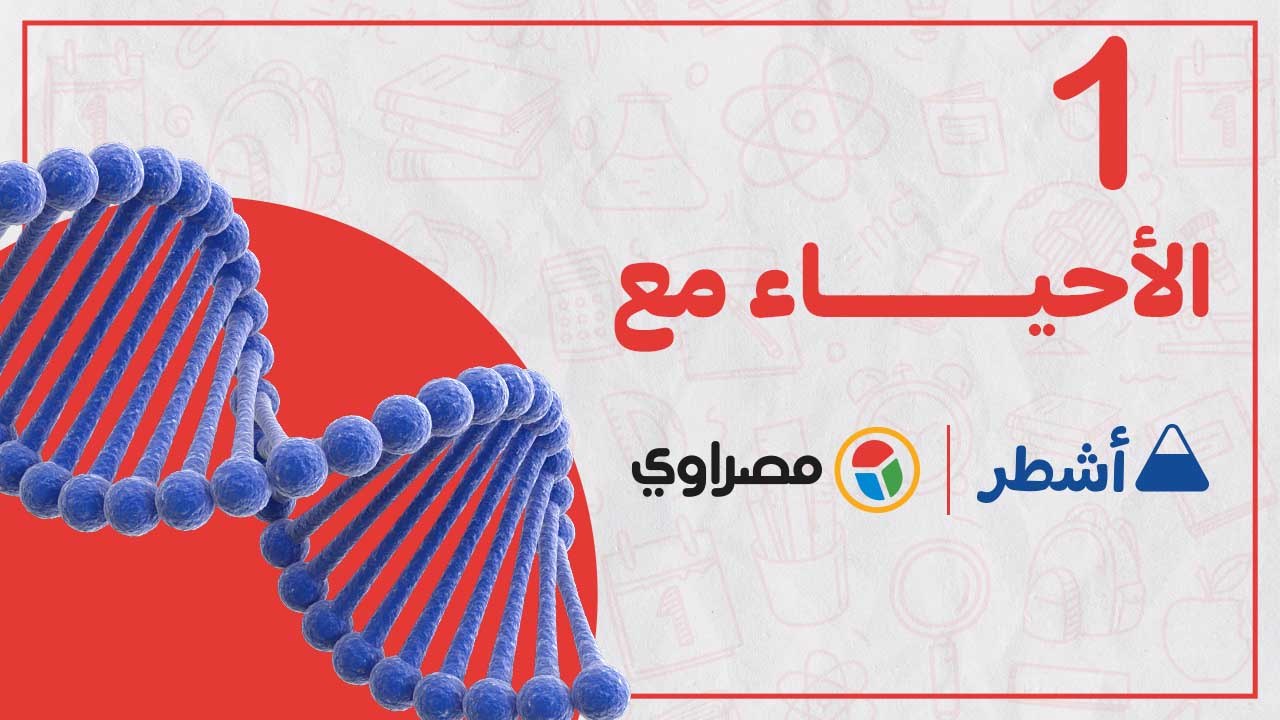 ليلة الامتحان.. مراجعة شاملة لمادة الأحياء الثانوية العامة الجزء الأول.. جواب نهائي مع اشطر