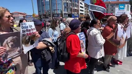 Sivas'ta hayvanseverlerden "kısırlaştırma" çağrısı