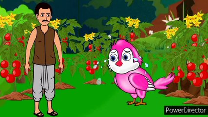 birds cartoon story||bird animated story||cartoon story