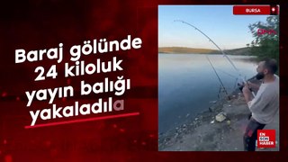Bursa'da baraj gölünde 24 kiloluk yayın balığı yakaladılar