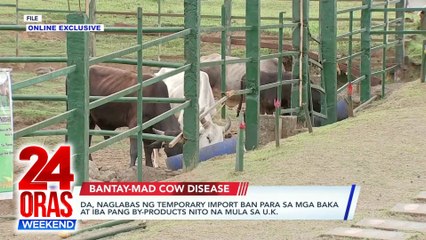 ONLINE EXCLUSIVES: DA, naglabas ng temporary import ban para sa mga baka at iba pang by-products nito na mula sa U.K.