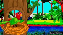 Story||birds story||cartoon||Chidya kahani||Cartoon Kahani||Moral story