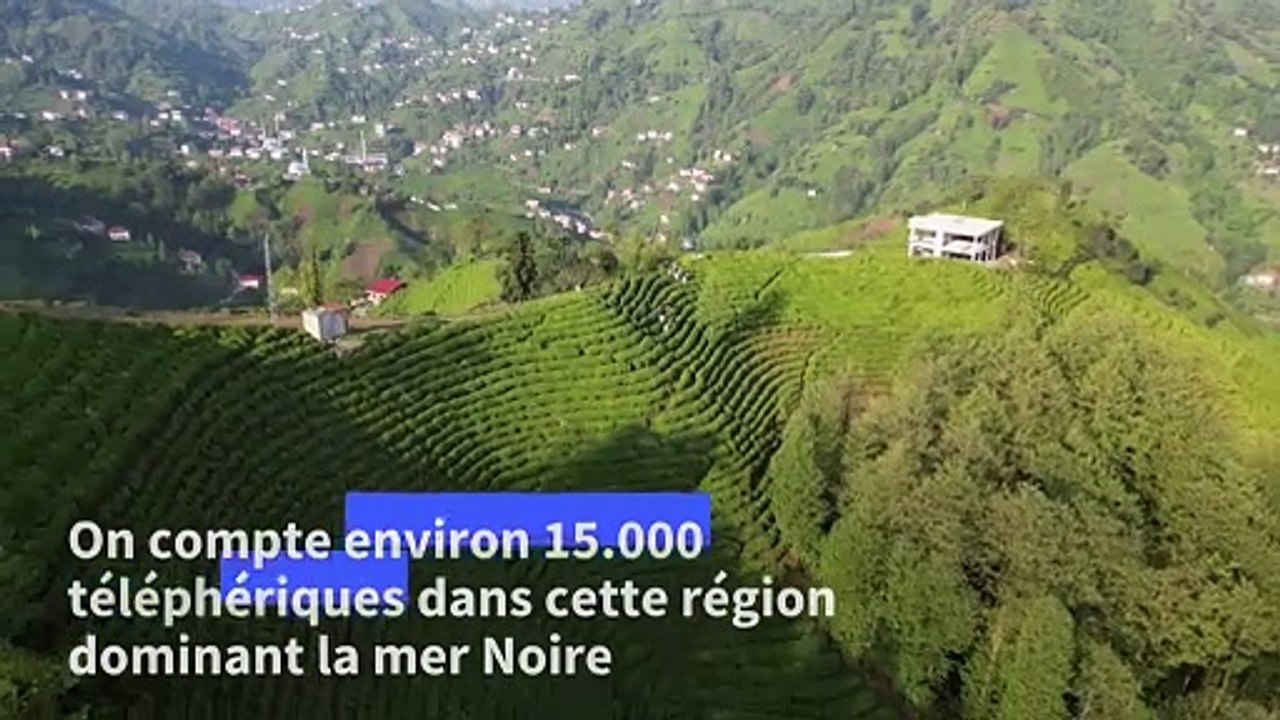 Dans les montagnes à thé de Turquie, les téléphériques de la peur
