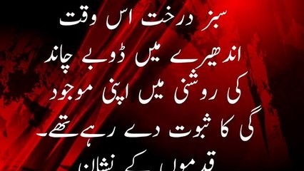 Nr urdu story urdu novels romantice epsoide 1urdu_novels_romantic__the_best_urdu_novels