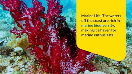 Mubarak Village Beach: Pakistan’s Hidden Coastal Gem