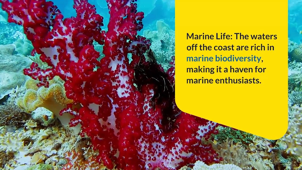 Mubarak Village Beach: Pakistan’s Hidden Coastal Gem