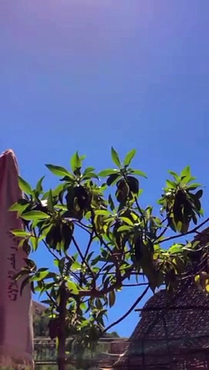 Morocco