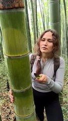The GIRL's skills are AMAZING#camping #survival #bushcraft #outdoors #lifehack