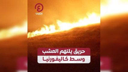 حريق يلتهم العشب وسط كاليفورنيا