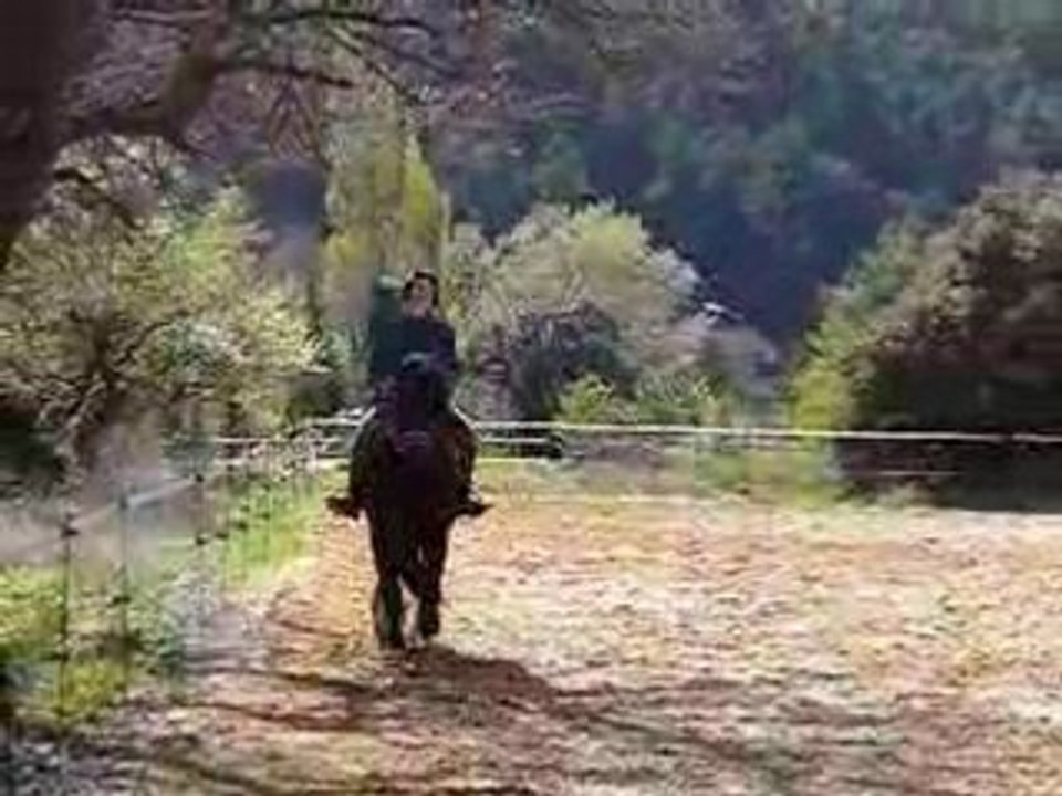 à cheval