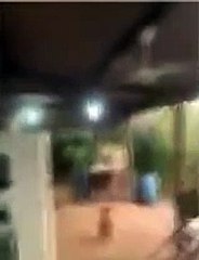 VÍDEO: Disputa de herança gera tiroteio entre familiares