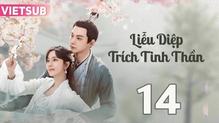 LIỄU DIỆP TRÍCH TINH THẦN - Tập 14 VIETSUB | Đường Hiểu Thiên & Trang Đạt Phi