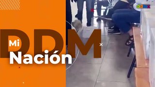 Daisy, la perrita funcionaria de casilla que se vuelve viral en Puebla
