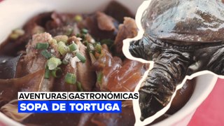 Aventuras gastronómicas: sopa de tortuga