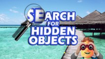 FIND THE HIDDEN OBJECTS | How fast can you find the hidden objects?