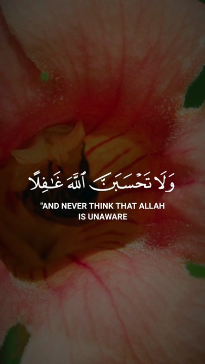 #Islamic Teachings"#Islam#Quran#Surah#taqareer#fly