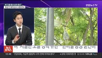 [뉴스포커스] 확성기 재개에 북 